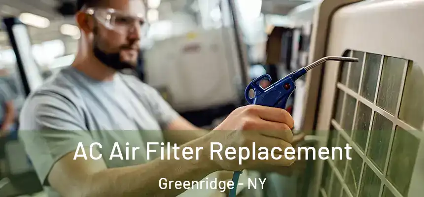 AC Air Filter Replacement Greenridge - NY