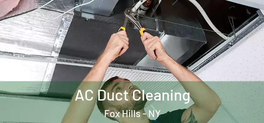 AC Duct Cleaning Fox Hills - NY