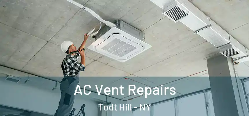  AC Vent Repairs Todt Hill - NY