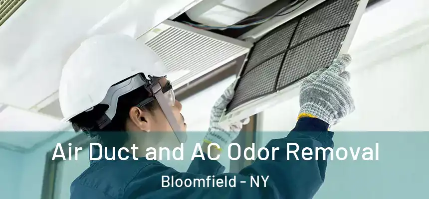  Air Duct and AC Odor Removal Bloomfield - NY