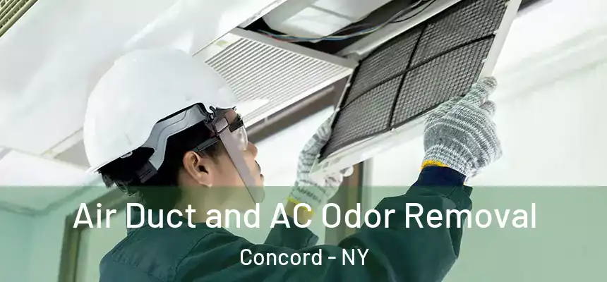  Air Duct and AC Odor Removal Concord - NY