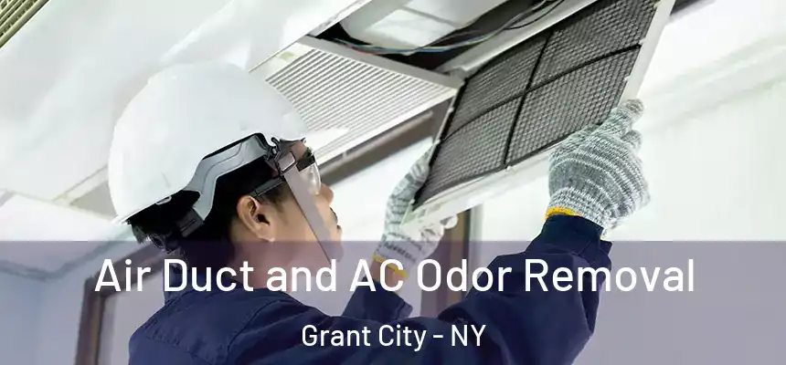  Air Duct and AC Odor Removal Grant City - NY