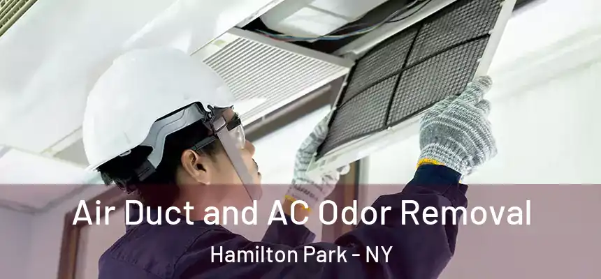  Air Duct and AC Odor Removal Hamilton Park - NY
