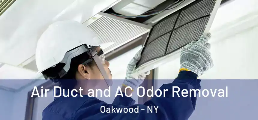Air Duct and AC Odor Removal Oakwood - NY
