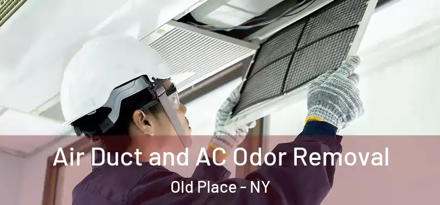 Air Duct and AC Odor Removal Old Place - NY