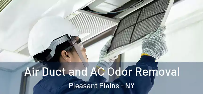 Air Duct and AC Odor Removal Pleasant Plains - NY