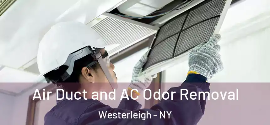 Air Duct and AC Odor Removal Westerleigh - NY