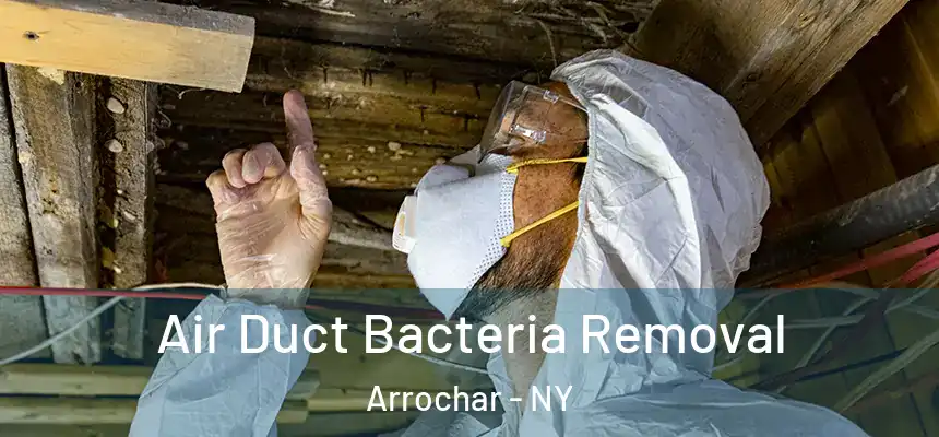 Air Duct Bacteria Removal Arrochar - NY