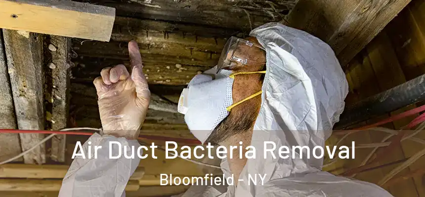 Air Duct Bacteria Removal Bloomfield - NY