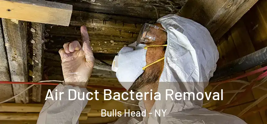 Air Duct Bacteria Removal Bulls Head - NY