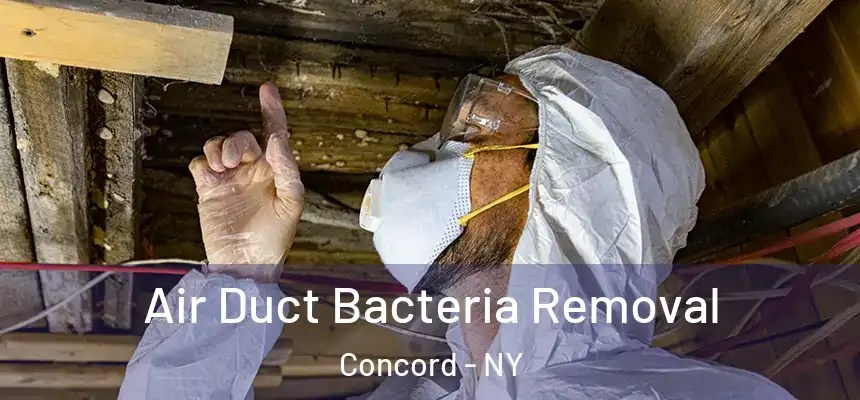 Air Duct Bacteria Removal Concord - NY