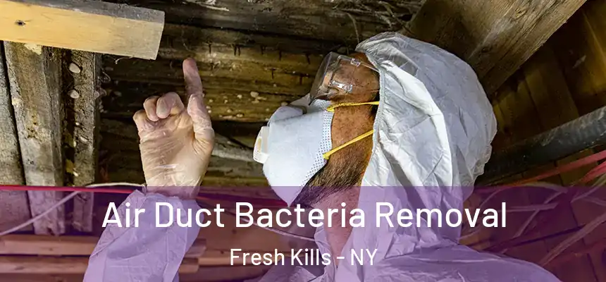 Air Duct Bacteria Removal Fresh Kills - NY