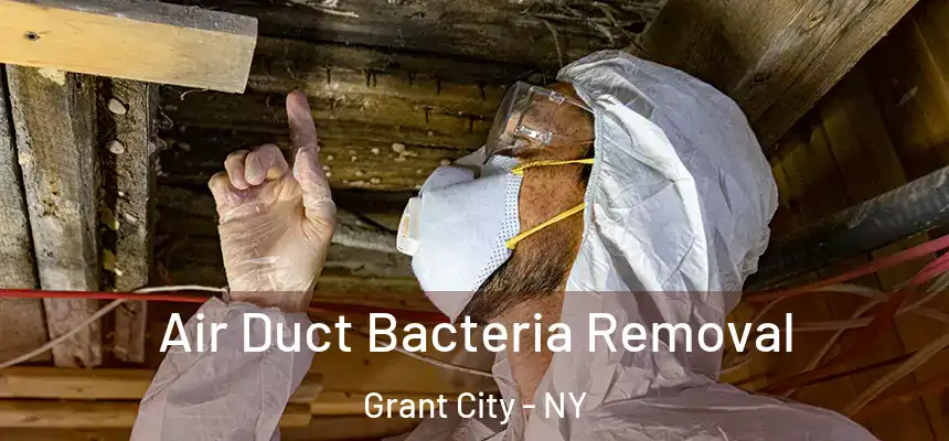 Air Duct Bacteria Removal Grant City - NY