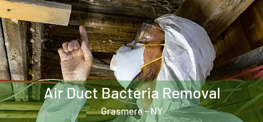 Air Duct Bacteria Removal Grasmere - NY
