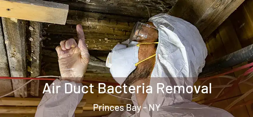 Air Duct Bacteria Removal Princes Bay - NY