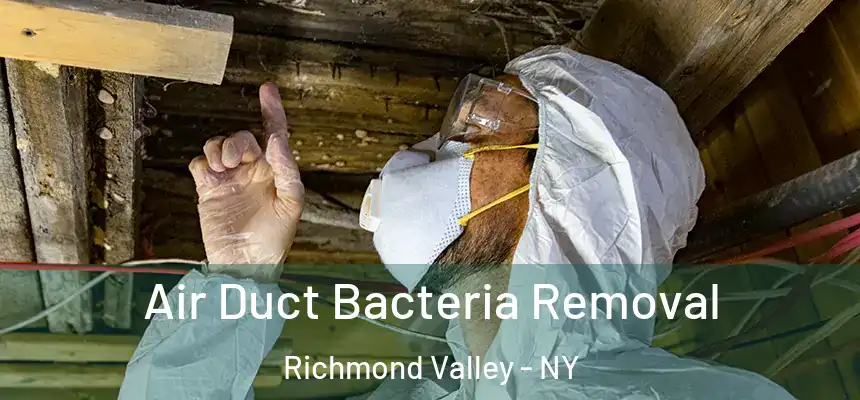 Air Duct Bacteria Removal Richmond Valley - NY