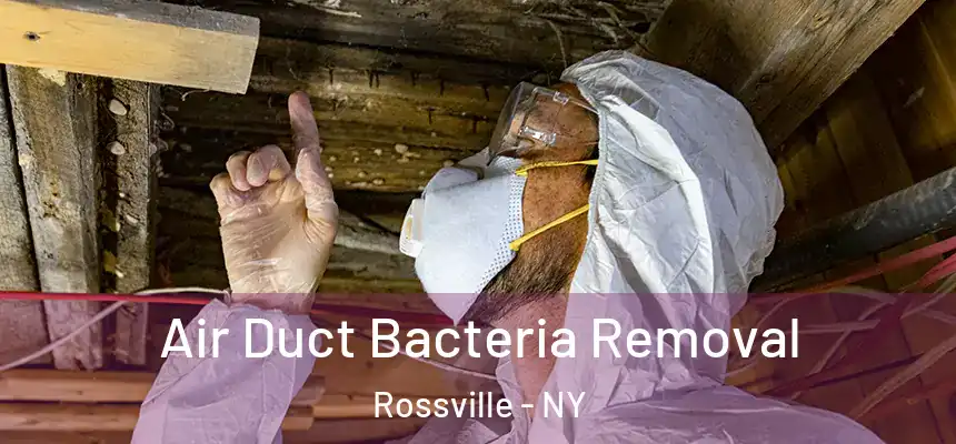 Air Duct Bacteria Removal Rossville - NY
