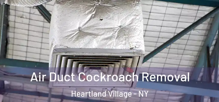 Air Duct Cockroach Removal Heartland Village - NY