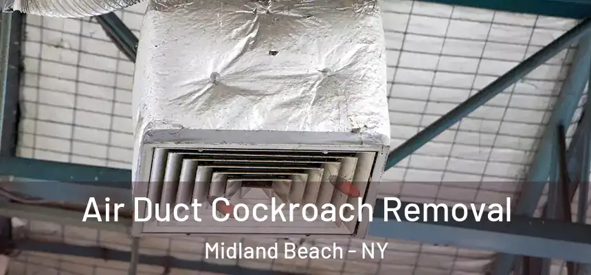 Air Duct Cockroach Removal Midland Beach - NY