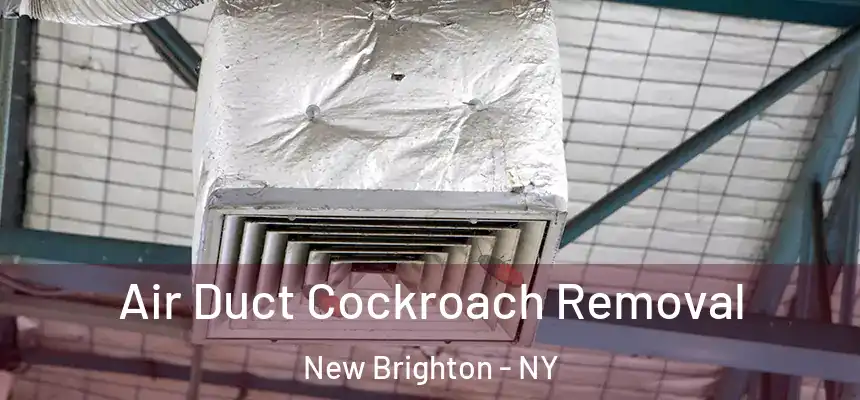 Air Duct Cockroach Removal New Brighton - NY