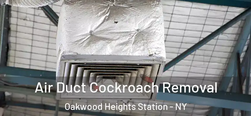 Air Duct Cockroach Removal Oakwood Heights Station - NY