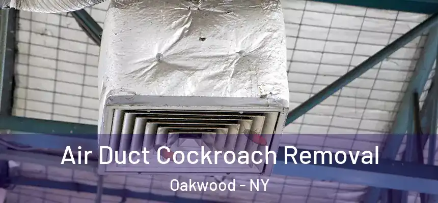 Air Duct Cockroach Removal Oakwood - NY