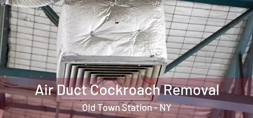 Air Duct Cockroach Removal Old Town Station - NY