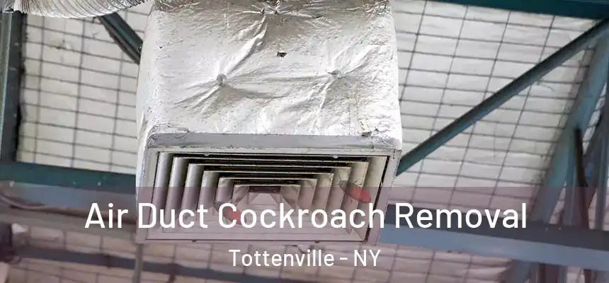 Air Duct Cockroach Removal Tottenville - NY
