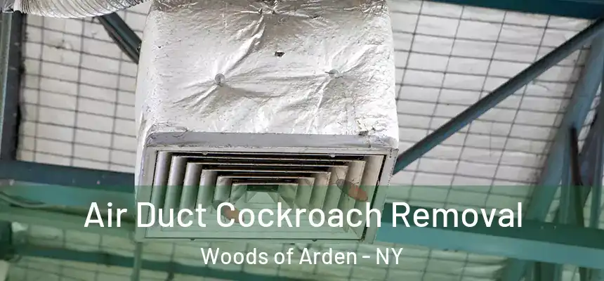  Air Duct Cockroach Removal Woods of Arden - NY