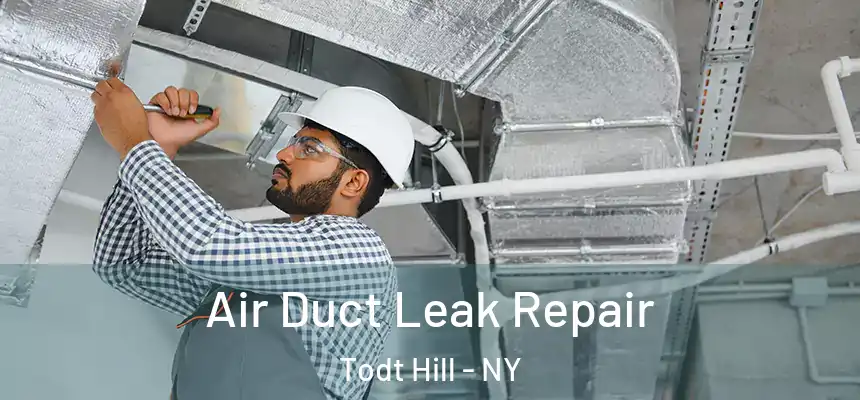 Air Duct Leak Repair Todt Hill - NY