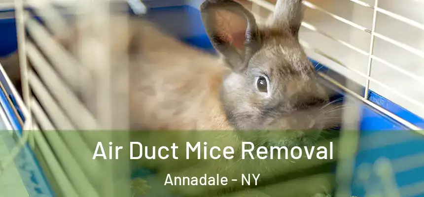 Air Duct Mice Removal Annadale - NY