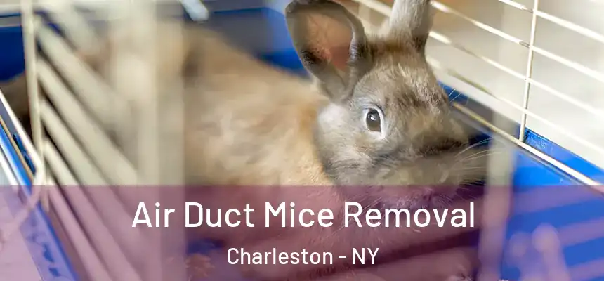 Air Duct Mice Removal Charleston - NY