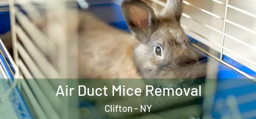 Air Duct Mice Removal Clifton - NY