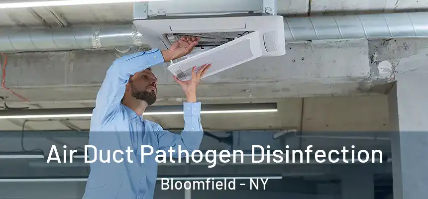 Air Duct Pathogen Disinfection Bloomfield - NY
