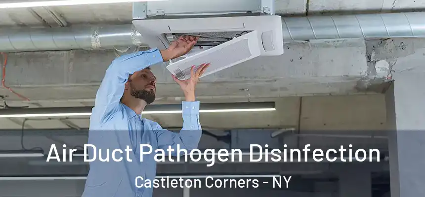  Air Duct Pathogen Disinfection Castleton Corners - NY