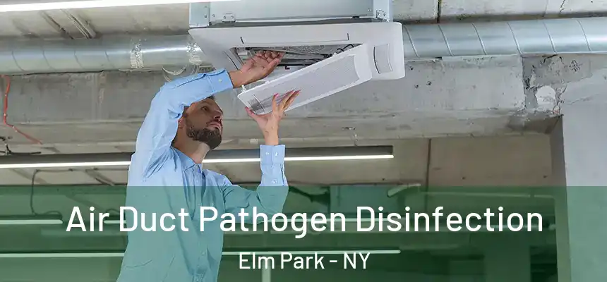  Air Duct Pathogen Disinfection Elm Park - NY