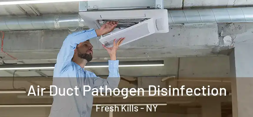 Air Duct Pathogen Disinfection Fresh Kills - NY
