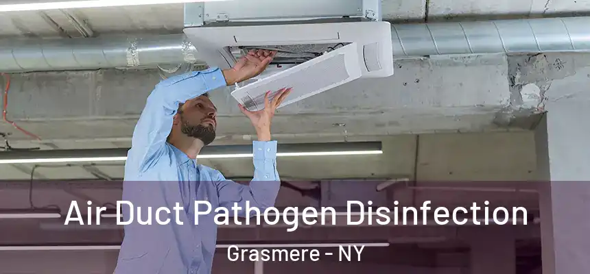  Air Duct Pathogen Disinfection Grasmere - NY