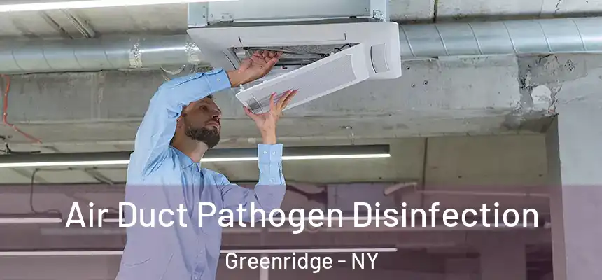 Air Duct Pathogen Disinfection Greenridge - NY