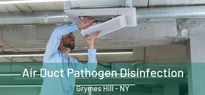 Air Duct Pathogen Disinfection Grymes Hill - NY