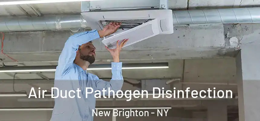  Air Duct Pathogen Disinfection New Brighton - NY