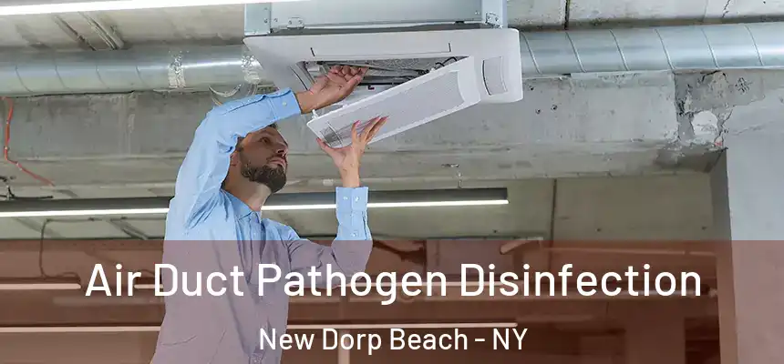  Air Duct Pathogen Disinfection New Dorp Beach - NY