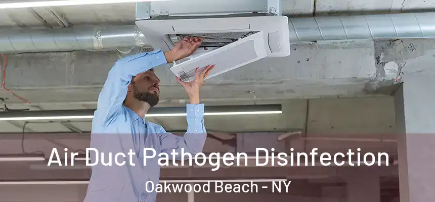 Air Duct Pathogen Disinfection Oakwood Beach - NY
