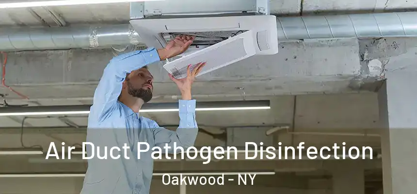 Air Duct Pathogen Disinfection Oakwood - NY