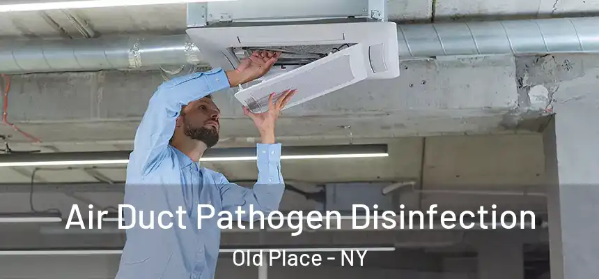 Air Duct Pathogen Disinfection Old Place - NY