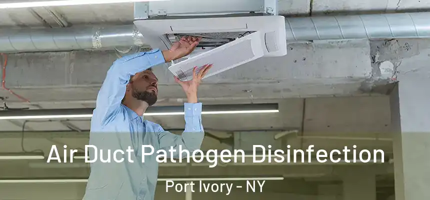  Air Duct Pathogen Disinfection Port Ivory - NY
