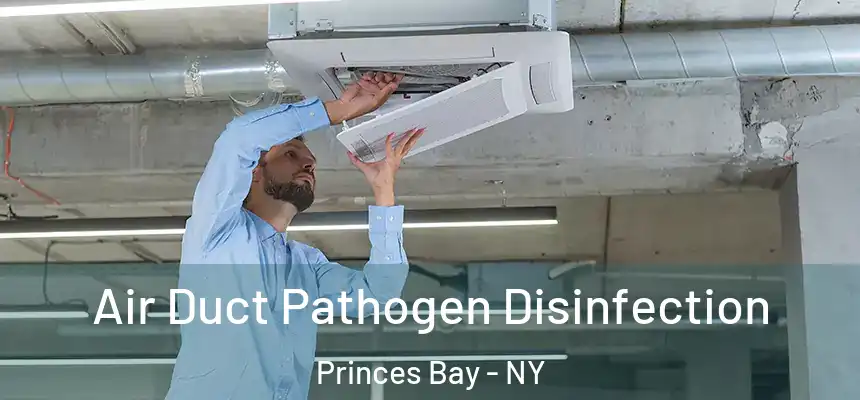  Air Duct Pathogen Disinfection Princes Bay - NY