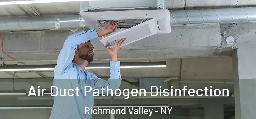 Air Duct Pathogen Disinfection Richmond Valley - NY
