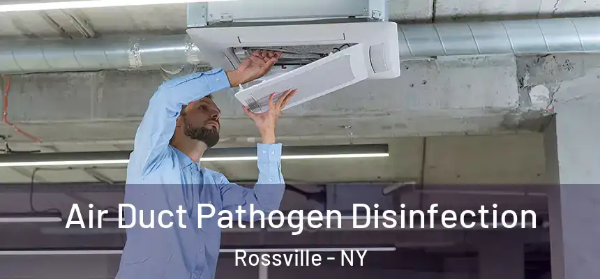  Air Duct Pathogen Disinfection Rossville - NY