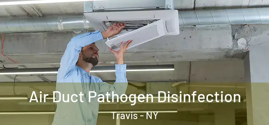 Air Duct Pathogen Disinfection Travis - NY